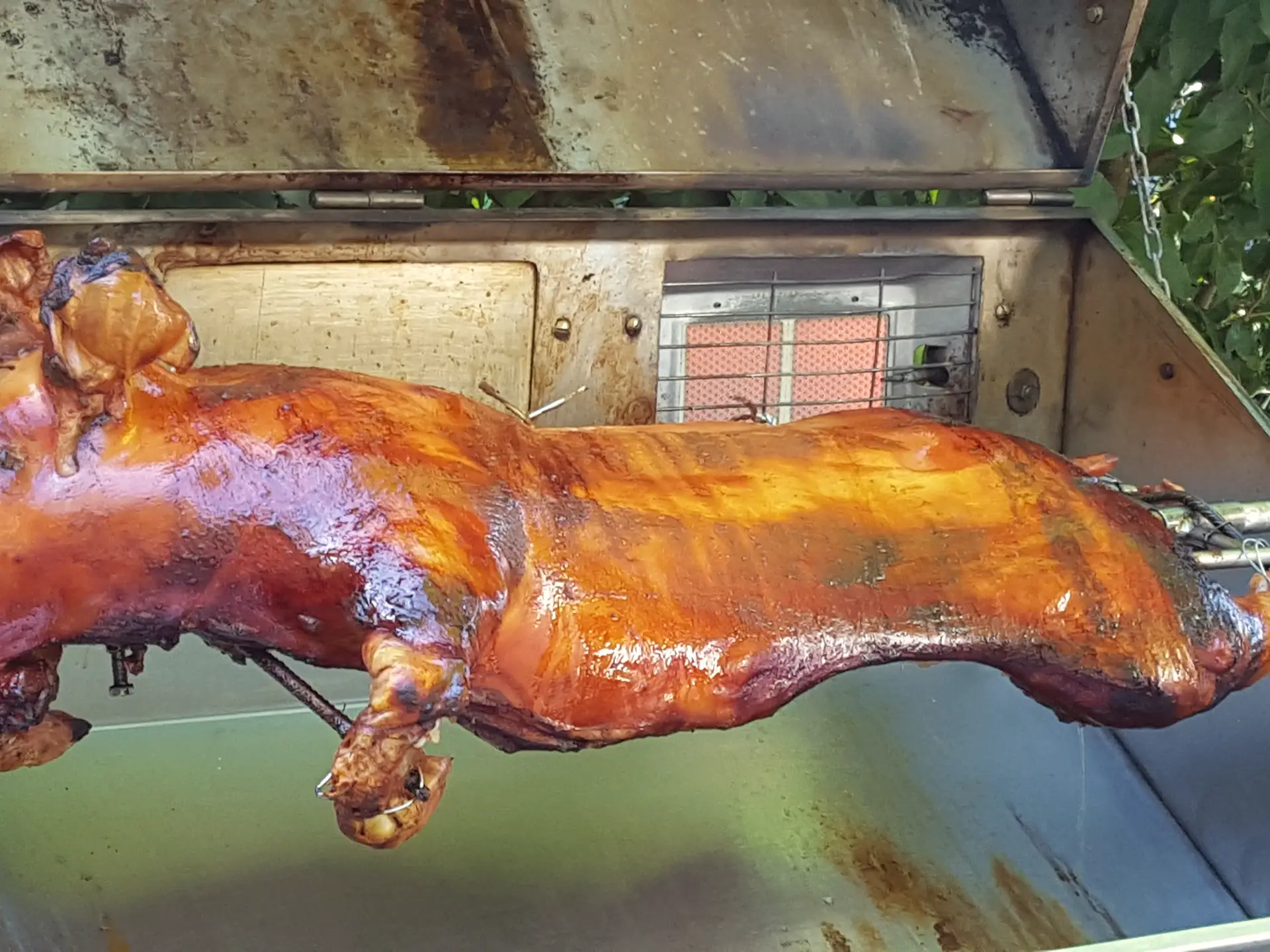 Cochon de lait doré qui rôtit à la broche