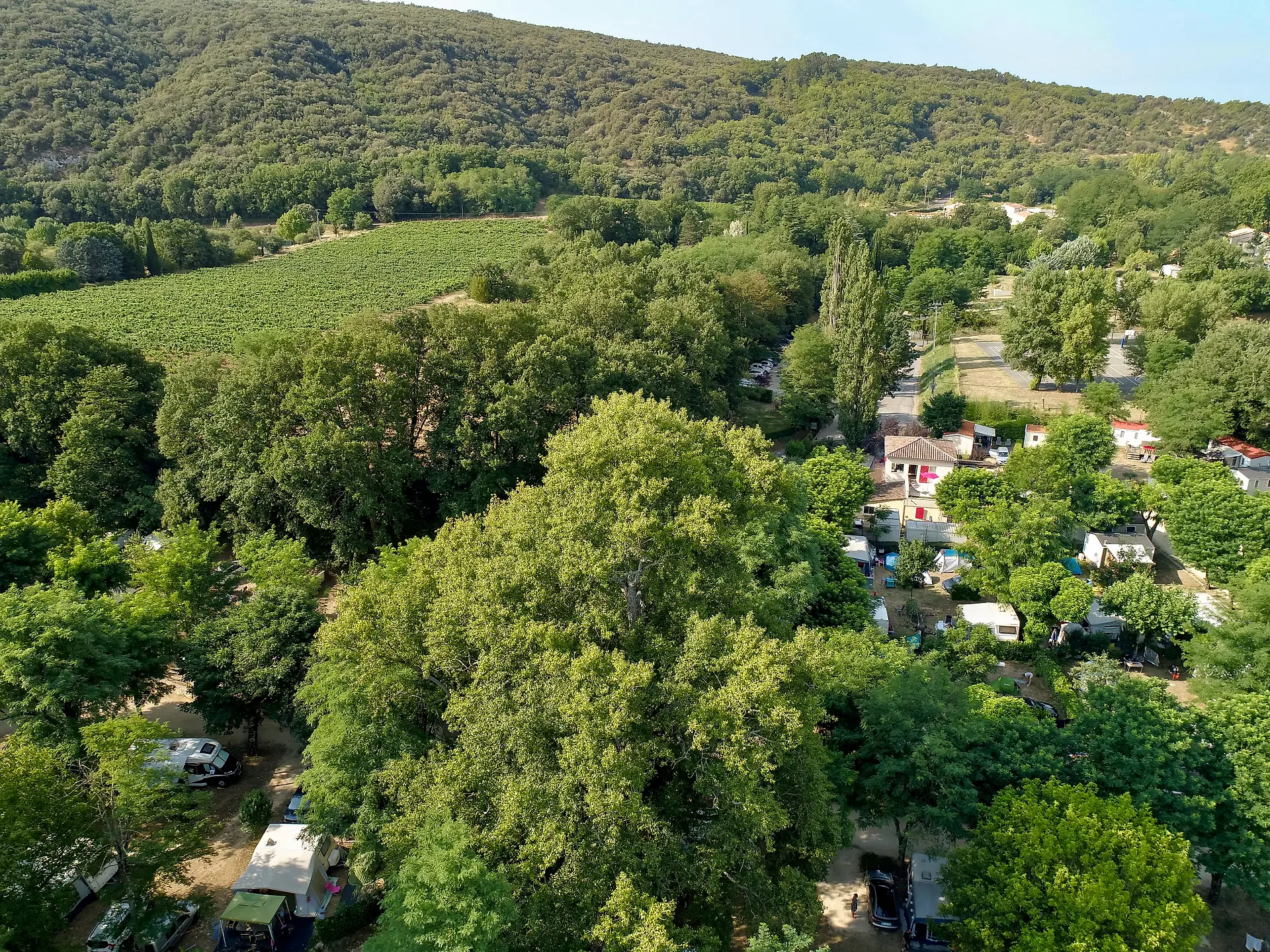 Der Campingplatz aus der Luft, seine Stellplätze unter den Bäumen, die Weinberge und die Hügel der Ardèche