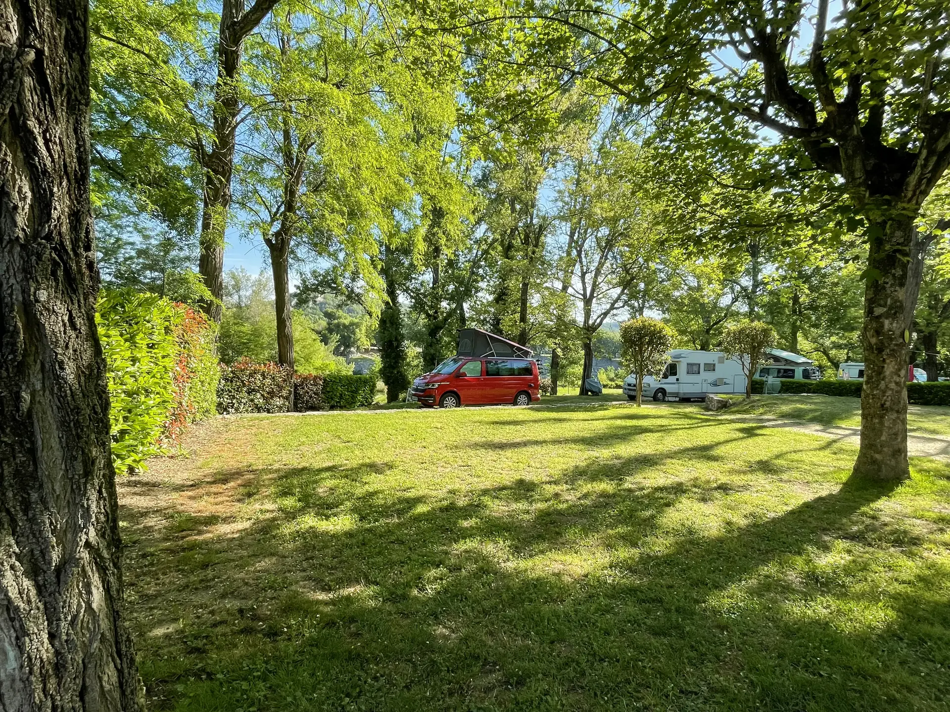 A large shaded pitch along a hedge, with a van and motorhomes further along