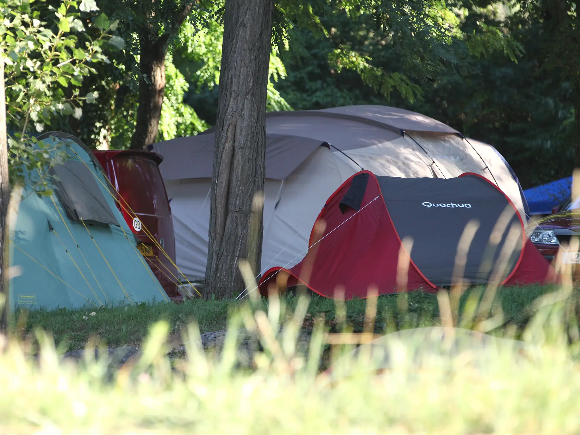 Tents pitched on the grass of a shaded pitch