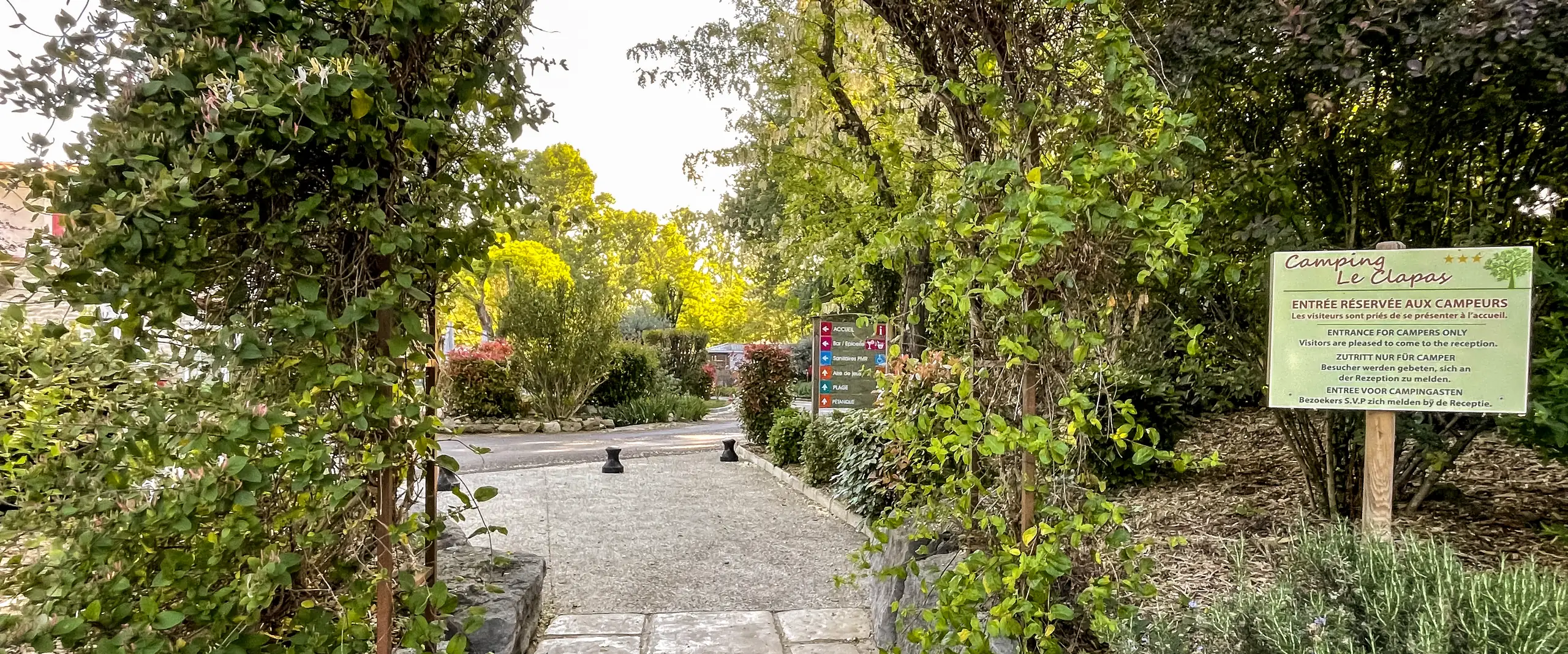L'entrée du camping sous une arche de verdure, son allée dallée, ses lavandes et le panneau du Camping Le Clapas