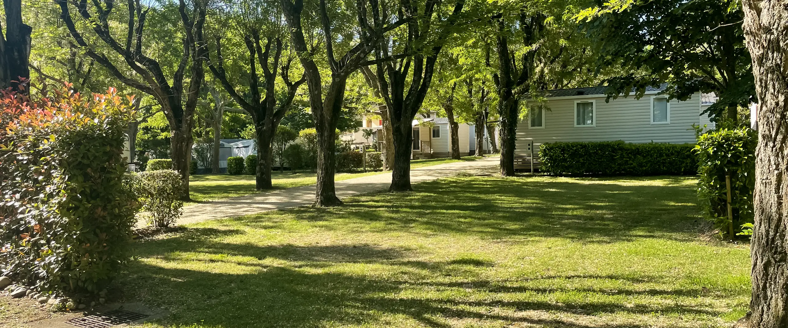 Une allée ombragée du camping, sa pelouse sous les arbres et des mobil-homes au fond