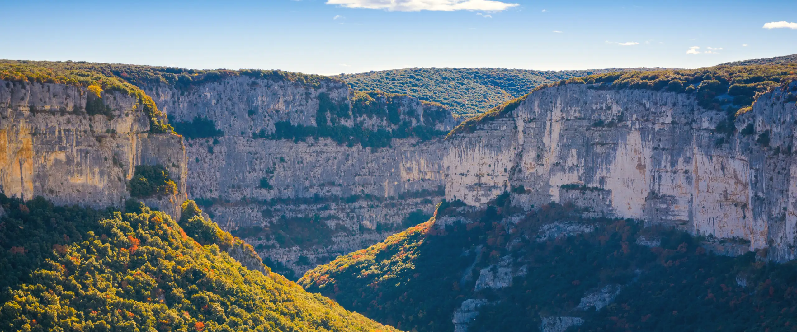 Kalkfelsen und bewaldete Hänge mitten in den Ardèche-Schluchten