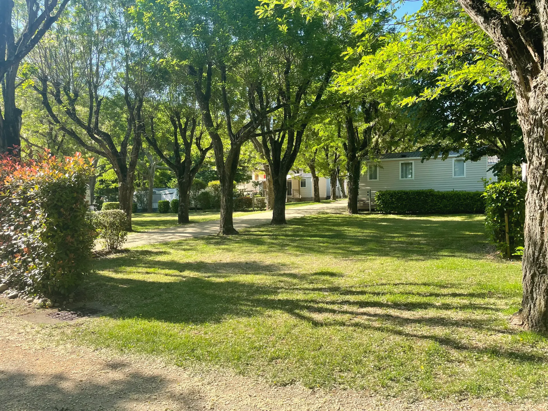 Emplacements de camping en herbe, ombragés par de grands arbres, avec des mobil-homes au fond
