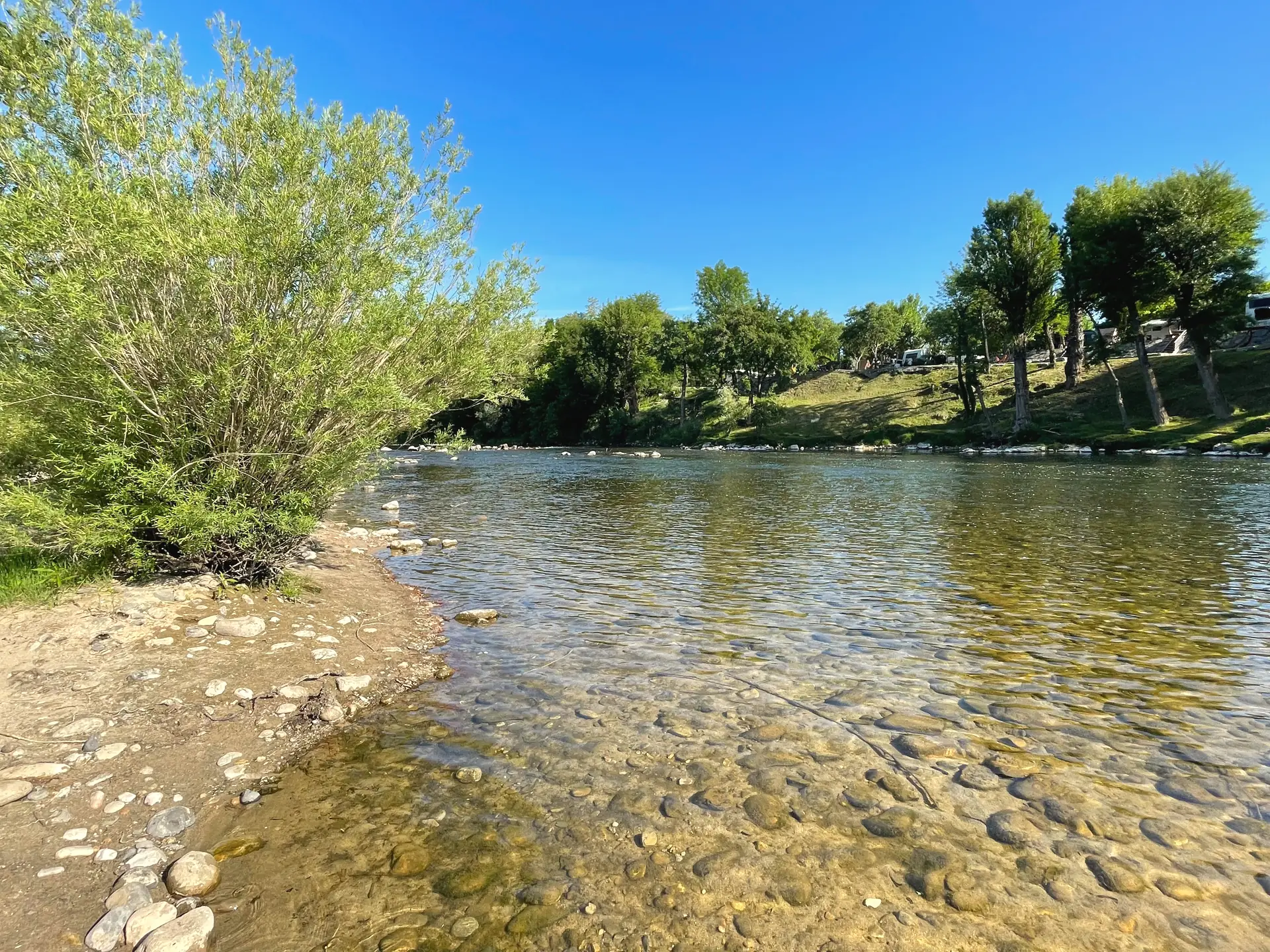 Bord de l'Ardèche et plage de galets à l'ombre d'un saule
