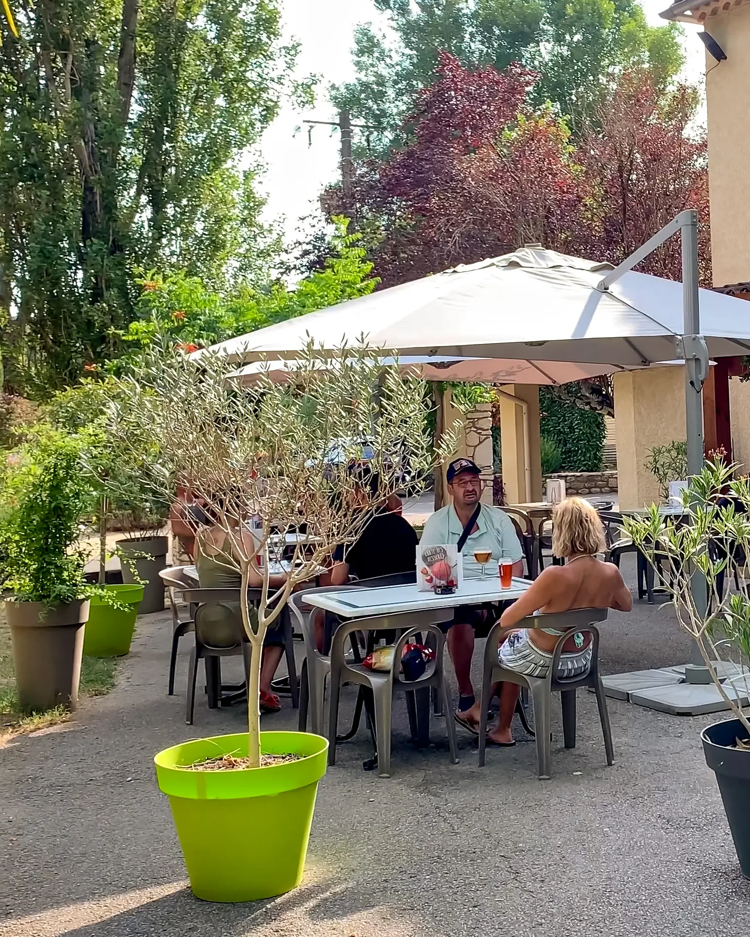 Terrasse du bar-snack sous un parasol, avec des vacanciers attablés entre les oliviers en pot