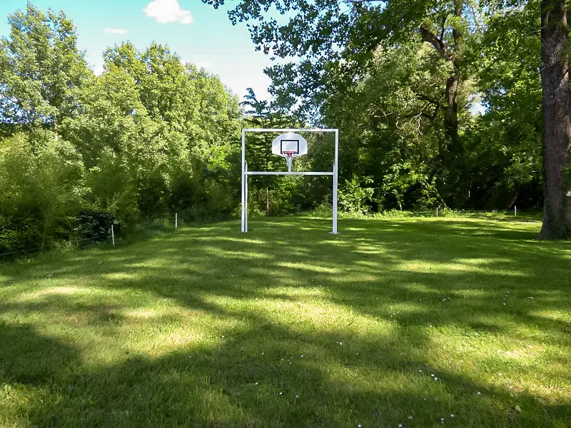 Panier de basket sur le terrain en herbe, au bord des arbres